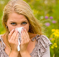 hay fever natural remedies